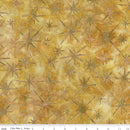 Riley Blake Starburst Groove Fanfare Batik Fabric