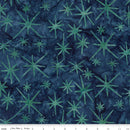 Riley Blake Starburst Groove Rainstorm Batik Fabric