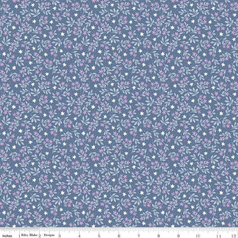Riley Blake Twinkle Little Star Jasmine Stars Denim Fabric