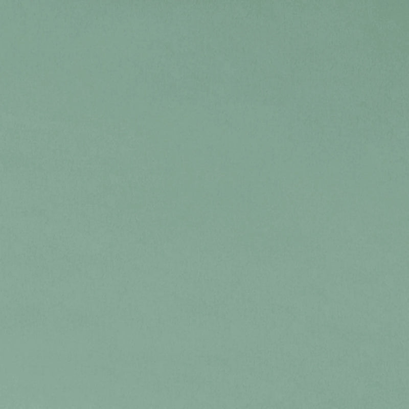 Shannon Fabrics Cuddle Solid Juniper 60 Inch Fabric