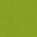 Shannon Fabrics Cuddle Solid Kiwi 90 Inch Fabric