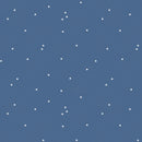 Riley Blake Dainty Daisy Denim Fabric