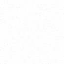 Riley Blake Blossoms Tone On Tone White Fabric