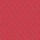 Riley Blake Seasonal Basics Grand Ol' Flag Red Fabric