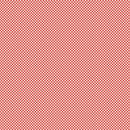 Riley Blake Seasonal Basics Gingham Red Fabric