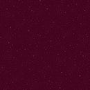 Timeless Treasures Chicken Scratch Wine Fabric