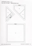 Starlight Starbright Book