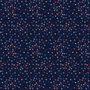 Timeless Treasures Path To Freedom Stars Admiral Fabric