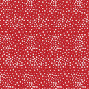 Timeless Treasures Path To Freedom Stars Red Fabric