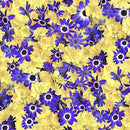 Maywood Studio Hand Picked Forget Me Not Flowers Fabric