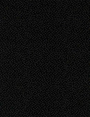 Timeless Treasures Christmas Magic Metallic Pin Dot Black Fabric