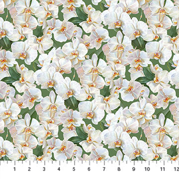 Northcott Orchids In Bloom White Orchids Fabric ONLINE PURCHASE ONLY