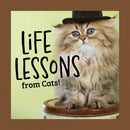 Life Lessons From Cats