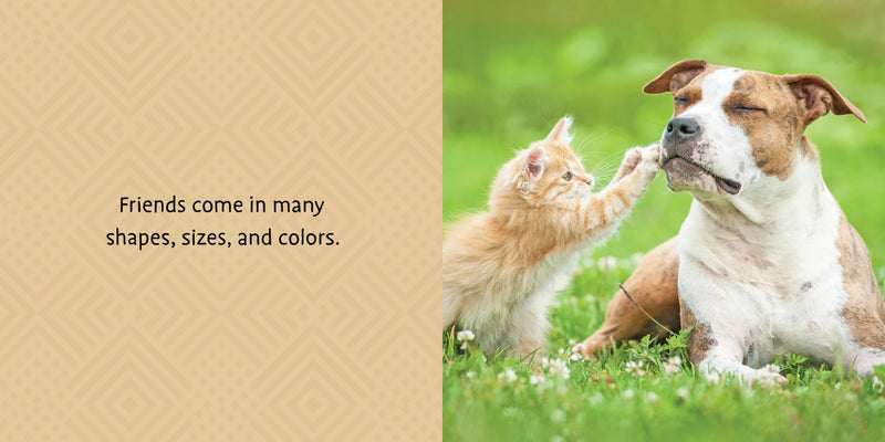 Life Lessons From Cats