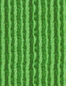 Timeless Treasures Summer Picnic Watermelon Skin Green Fabric