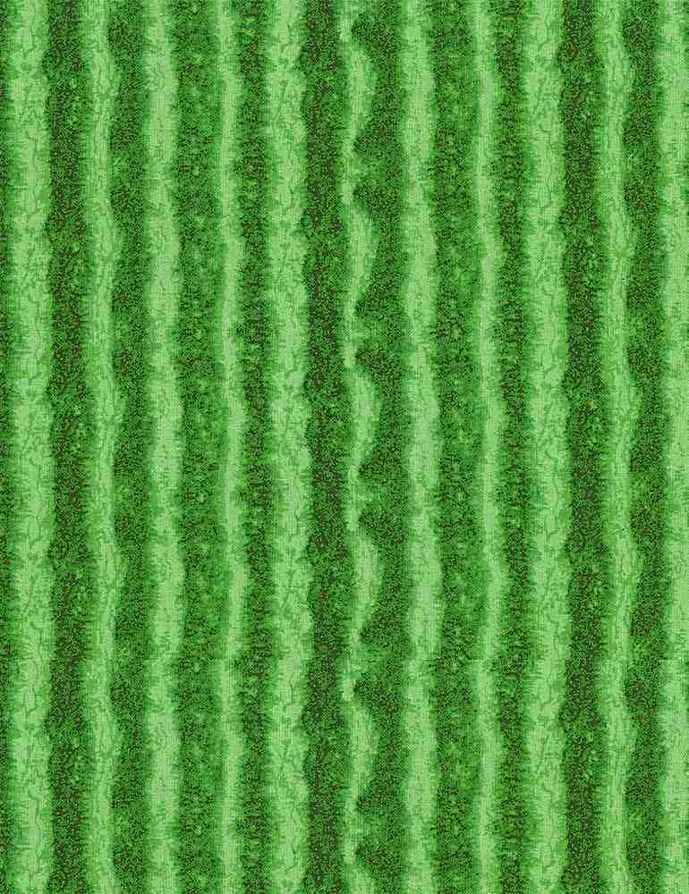 Timeless Treasures Summer Picnic Watermelon Skin Green Fabric