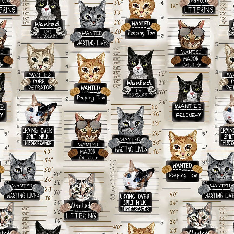 Timeless Treasures Quirky Cats Cat Mugshots Fabric