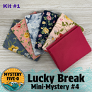 Mystery Five-O Lucky Break Mini Mystery Bundle