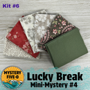 Mystery Five-O Lucky Break Mini Mystery Bundle