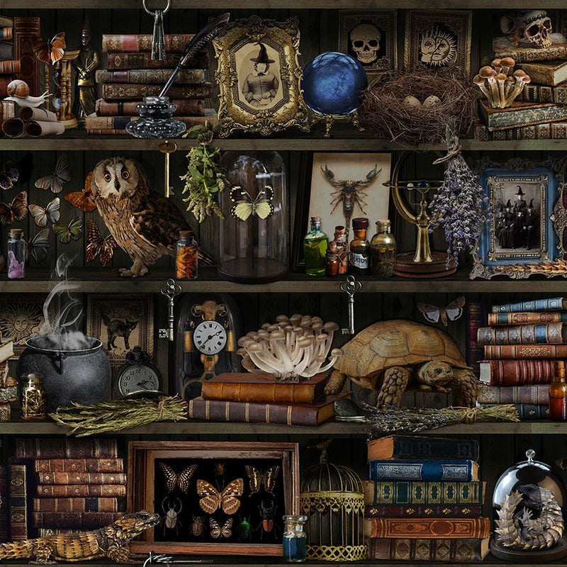 Timeless Treasures Witch Apolthecary Book Shelf Brown Fabric