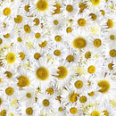 Maywood Studio Hand Picked Forget Me Not Daisies Fabric