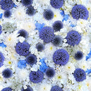 Maywood Studio Hand Picked Forget Me Not Flowers Fabric