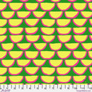 Kaffe Fassett Collective Segments Green Fabric