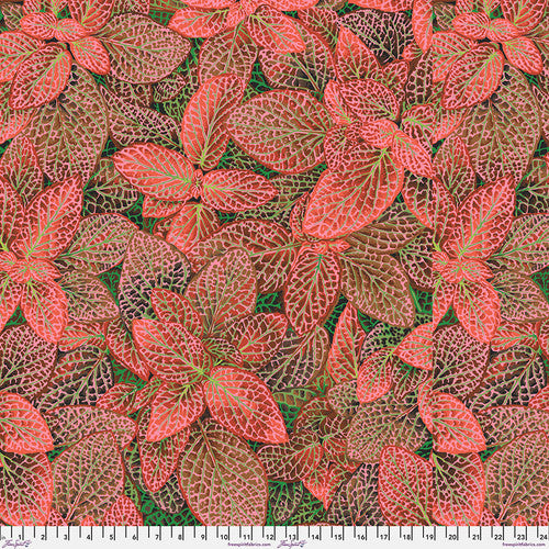 Kaffe Fassett Fittonia Red Fabric