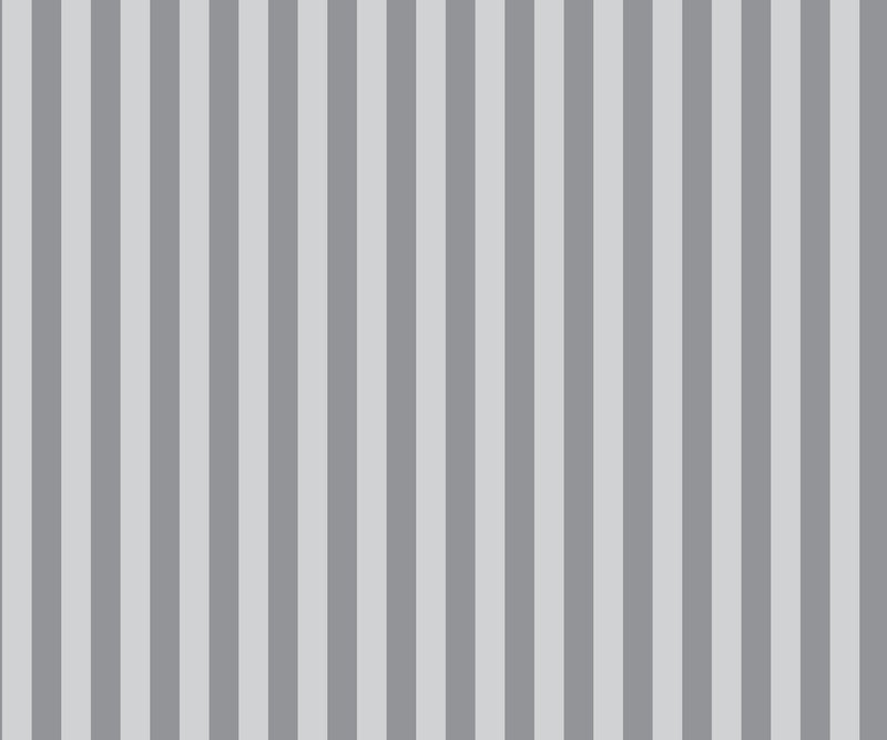 PREORDER Tula Pink Graywork Tent Stripe Fog Fabric