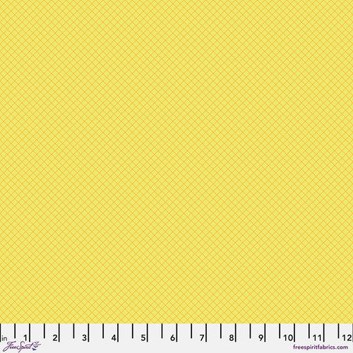Tula Pink True Colors 2025 On The Grid Highlighter Fabric