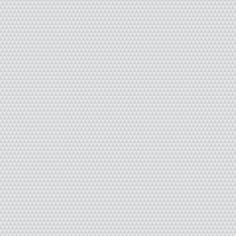 PREORDER Tula Pink Graywork Kinda Shady Whisper Fabric