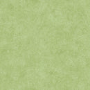 Maywood Studio Fine Line Floral Green Wide Back Fabric
