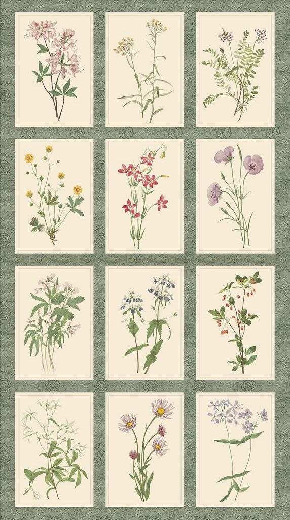 Marcus Fabrics Botanical Journal Botanical Prints Panel