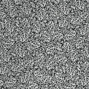 Robert Kaufman Inkwell Dashed Circles Black Fabric