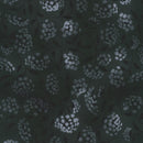 Robert Kaufman Fusions Black Wide Back Fabric