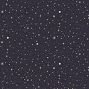 Dear Stella Love At first Bite Bootiful Sky Raven Fabric