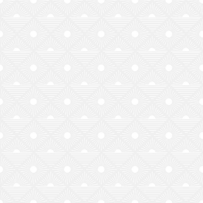 Dear Stella Monochrome White Rays Fabric