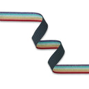 Sallie Tomato Webbing 1 1/2 Inch x 3 Yards Metallic Rainbow
