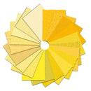 I've Got Hue Babe Sunny Side Up 5 Inch Squares