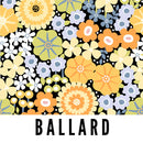 Splash Fabric Laminated Cotton Ballard Fabric