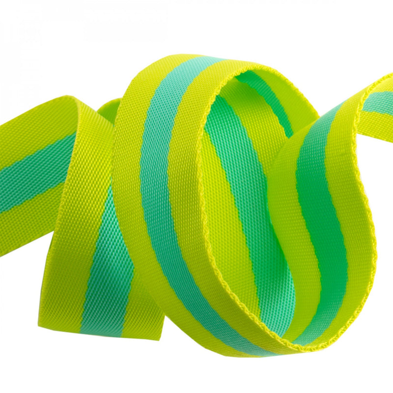 Tula Pink Webbing Lime Turquoise 1.5 Inch