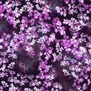 Hoffman Fabrics Jewel Depths Floral Purple Fabric