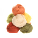 Wool Roving Assortment Autumn