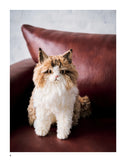 Crochet Your Own Cat