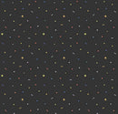 Riley Blake New Box Of Crayons Confetti Black Fabric