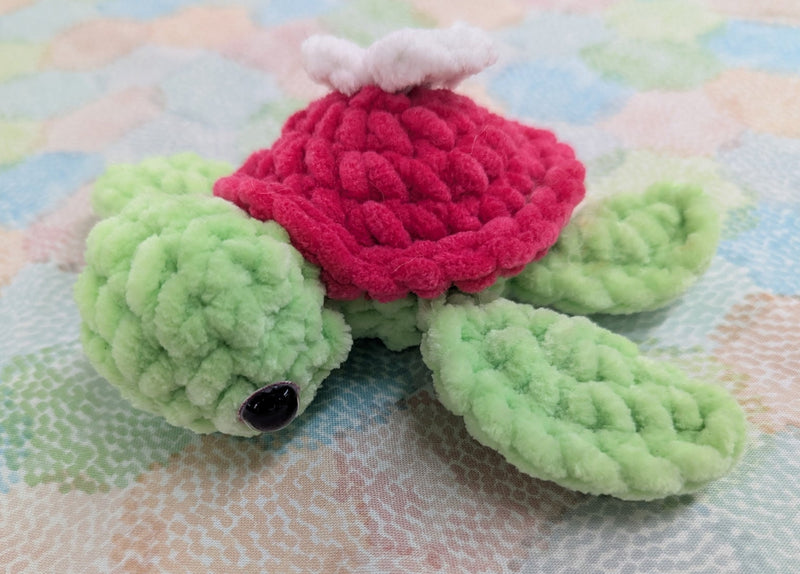 Tara The Turtle Amigurumi Class~October 26th, 2025