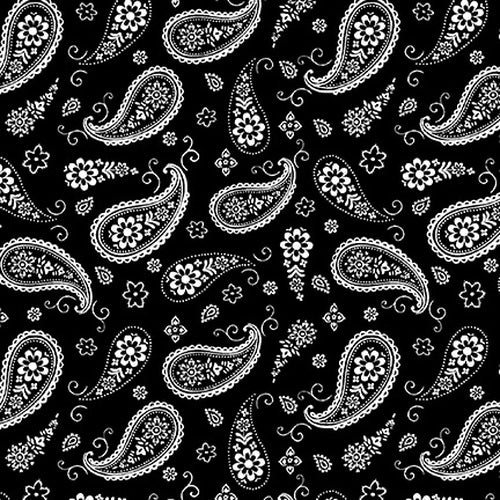Blank Quilting Paradox Bandana Paisley Black Fabric