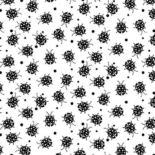 Blank Quilting Paradox Ladybugs White Fabric