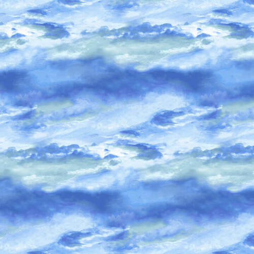 Blank Quilting Natural Beauties Sky Blue Digital Print Fabric