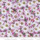 Moda Fresh As A Daisy Oopsy Daisy Magenta Fabric